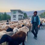 Morning traffic jam.
