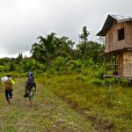 Starting the trek into the rainforest. You can see where the "road" ends. From there on out, it was all jungle!