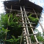 Rickety ladder to the treehouse.