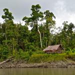 Life along the Braza River.
