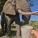 Coffee with Mack! 