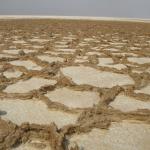 Salt flats surrounding the Danikal Depression.