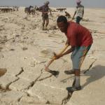 Men pulling salt out of the earth.