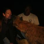 Hungry hyena