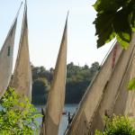 Feluccas docked on the shores of the Nile.