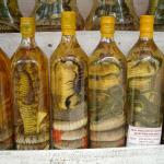 Snake Wine