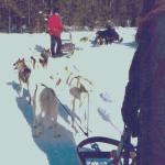 Lapland, Finland