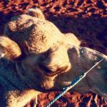 Ayers Rock, Australia