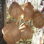 Coconut monkeys