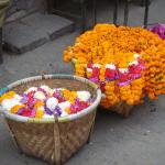 Back in Kathmandu.