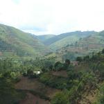 The beautiful countryside of Uganda.