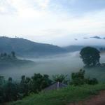 I guess that's why they call it "Gorilla's in the Mist".