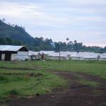 UNHCR tents
